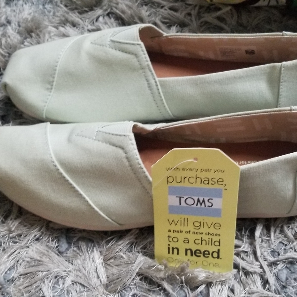 Toms classic mint canvas shoes